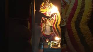 Sri Maha Vishnu Durgai Amman Temple Raghu kala Pooja Alangaram darshanam 1 [upl. by Annodam81]