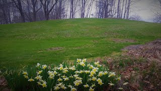 Phippsburg UCC Worship April 18 2021 [upl. by Asyar]