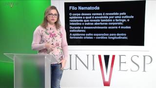 Zoologia de Invertebrados  Aula 11  Filo Gastrotricha Filo Nematomropha Filo Kinorhyncha F [upl. by Sarnoff]