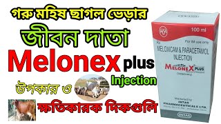 Melonex Plus Injection uses benifits Sideeffects in Bangla  Meloxicam Paracetamol Inj Veterinary [upl. by Fairley]