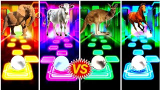 Funny Elephant 🆚 Funny Cow 🆚 Funny Kangaroo 🆚 Funny HorsesWho In The Best👍Coffin Dance🎵🎵 [upl. by Grane642]