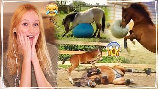 OH NEE DIT GAAT ECHT FOUT  Reageren op paarden videos  Daphne draaft door [upl. by Sutsugua]