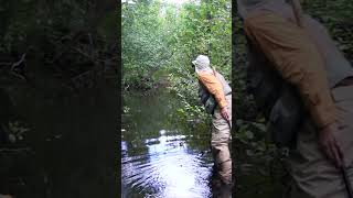 Big Hay Meadow Creek WI fishing trout wisconsin [upl. by Sneed567]