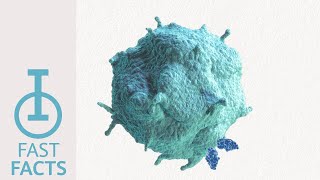 IOU YouTube How does TIGIT overpower cytotoxic Tcell activity [upl. by Ailaham732]