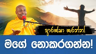 2024 09 17  බිනර පෝ දා සදහම් ප්‍රවර්ථනය [upl. by Beitch]