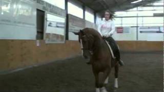 Reiten als Gesundheitssport [upl. by Milburt]