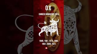 Ox Zodiac Forecast 2024  Year of the Wood Dragon  Chinese Astrology Insights amp Predictions [upl. by Karita]