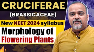 NEET 2024 UPDATED SYLLABUS  Plant Families  Cruciferae  NEET Biology neet neet2024 neetprep [upl. by Appolonia]