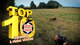 Top 10 Rêves De Chasse n°22  Août 2024  Edition spéciale quotSangliers à pleine vitessequot [upl. by Yedorb921]