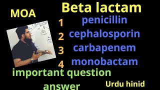 penicillin  cephalosporin carbapenem monobactam  beta lactam mechanism of action MOA in Urdu [upl. by Justus692]