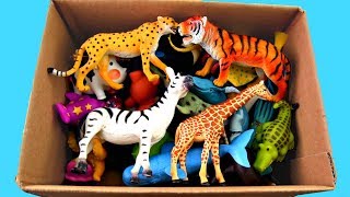 Lots of Zoo Wild AnimalsReal Safari Videos And Schleich Toys For Children [upl. by Ogden]