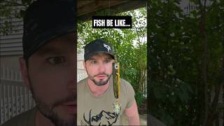 the quotmaster baiterquot 😂 fishing fish fishingvideo fishinglife [upl. by Atrim11]