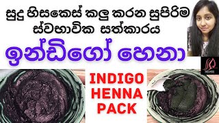 Indigo Henna to cover grey hair naturally  Indigo powder for hair  One step henna indigo process [upl. by Nanete504]