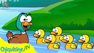 5 Patitos Salieron a Nadar  Canción Infantil [upl. by Neeuq142]