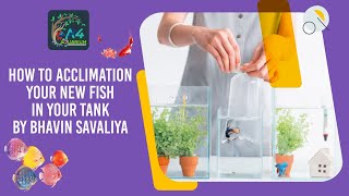 Introducing new fish to your aquarium Adding New Fish to an Aquarium  A4 Aquarium [upl. by Galatia]