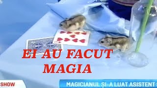 Magicianul Robert Tudor a adus soareci si iepurasi la Maruta in emisiune [upl. by Hpeosj999]