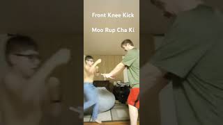 Front knee kick board break Tang Soo Do [upl. by Etezzil]