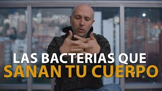 ESTOS SON LOS PROBIÓTICOS QUE LE RECOMIENDO A MIS PACIENTES  LAS BACTERIAS QUE SANAN TU CUERPO [upl. by Llenral160]