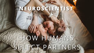 A Neuroscientist Explains How Humans Select Partners Scientific Counsel  Motivation Ideas [upl. by Euseibbob]