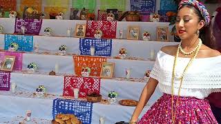 Tuxpan Veracruz OFRENDA en el altar MUNICIPAL [upl. by Nonnek]