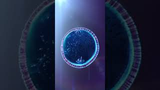 Chromosome  cells division  shorts viralvideos viralshorts shortvideos cellbiology cell [upl. by Alyss423]