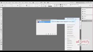 Adobe InDesign how to work add pantone color demo [upl. by Paugh]