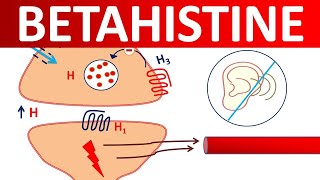 Betahistine tablets  Mechanism precautions side effects amp uses [upl. by Tekla]