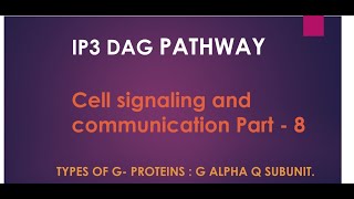 IP3 DAG PATHWAY Gprotein coupled receptor Galpha q subunit [upl. by Rednaxela]