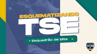 Esquematizando TSE  Gestão de Contratos  Prof Thallius Moraes [upl. by Job]