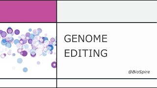 Genome editing  Zinc finger nucleases  TALENS  CRISPR CAS  CSIR UGC NET [upl. by Llegna]