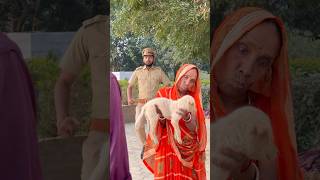 Dadi Dog par kiya kesh 🤣 shorts RamRamJi suspense comedy funny RRJ [upl. by Yenahpets]