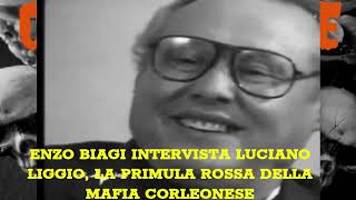 LA PRIMULA ROSSA DELLA MAFIA CORLEONESE LUCIANO LIGGIO IN UNA RARA INTERVISTA DI ENZO BIAGI [upl. by Yrod890]