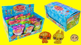 Crystal Babies Surprise Baby Pets Blind Bags Box Unboxing  Cookieswirlc Videos [upl. by Ethban]