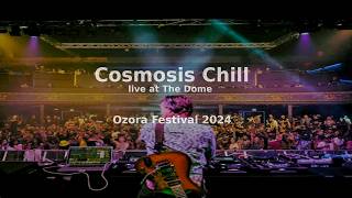 Cosmosis Chill live at The Dome  Ozora Festival 2024 [upl. by Monroe]