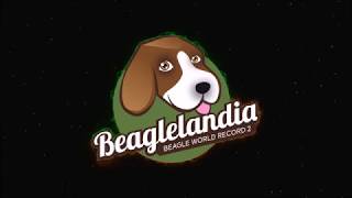 Beaglelandia 2018 from the air [upl. by Nylareg]