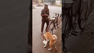 A poor Man feeding a dog  Humanity is still alive respect animals live subscribemychannel [upl. by Izaak691]