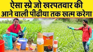 खरपतवार का 100 नियंत्रण  BEST CORN HERBICIDE SPRAY  LAUDIS  USE amp DOSE PER ACRE  Indian Farmer [upl. by Ahseeyt221]