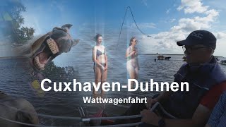 Cuxhaven  Duhnen Watt Kutschenfahrt [upl. by Yerag]