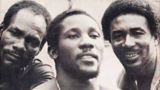 Toots amp the Maytals  Louie Louie [upl. by Shanda]