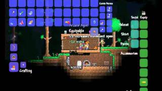 Terraria  11 Item  Arcane Aglet [upl. by Tierell]