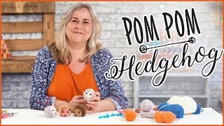 How To Make A PomPom Hedgehog  Easy Craft Tutorial [upl. by Ricca25]