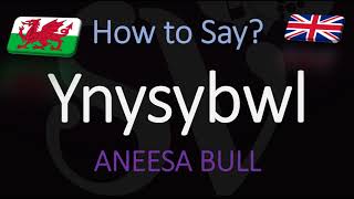 How to Pronounce Ynysybwl CORRECTLY Welsh Village Pronunciation [upl. by Laflam]