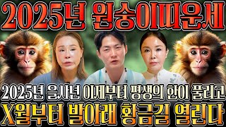 2025년 을사년 대박나는 원숭이띠운세 하늘과 조상에서 도와 말년에 대박나는 원숭이띠운세 04년생 92년생 80년생 68년생 21세 33세 45세 57세 원숭이띠운세 [upl. by Zeta]