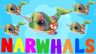 Beanie boos WEIRD SONG  NARWHALS [upl. by Butterworth889]