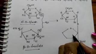 Disachharides Sucrose Maltose and Lactose Chemistry [upl. by Riki481]