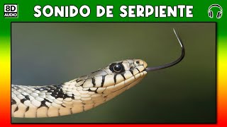 SONIDO DE SERPIENTE 🐍 [upl. by Paget]