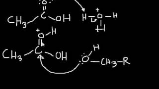 Esterification Mechanism making an ester from a carboxylic acid and an alcohol [upl. by Ynatsyd683]