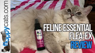 Feline Essential FleaeX Review  watch how this stuff kills a flea on contact [upl. by Eva]