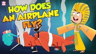 How Does An Airplane Fly  Evolution Of Planes  The Dr Binocs Show  Peekaboo Kidz [upl. by Tris234]