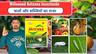 Willwood Antenna Insecticide ।। Antenna Insecticide ।। Acetamiprid 20 SP ।। FertiLizerExpert [upl. by Yorick]